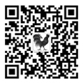 yy.vip 易游